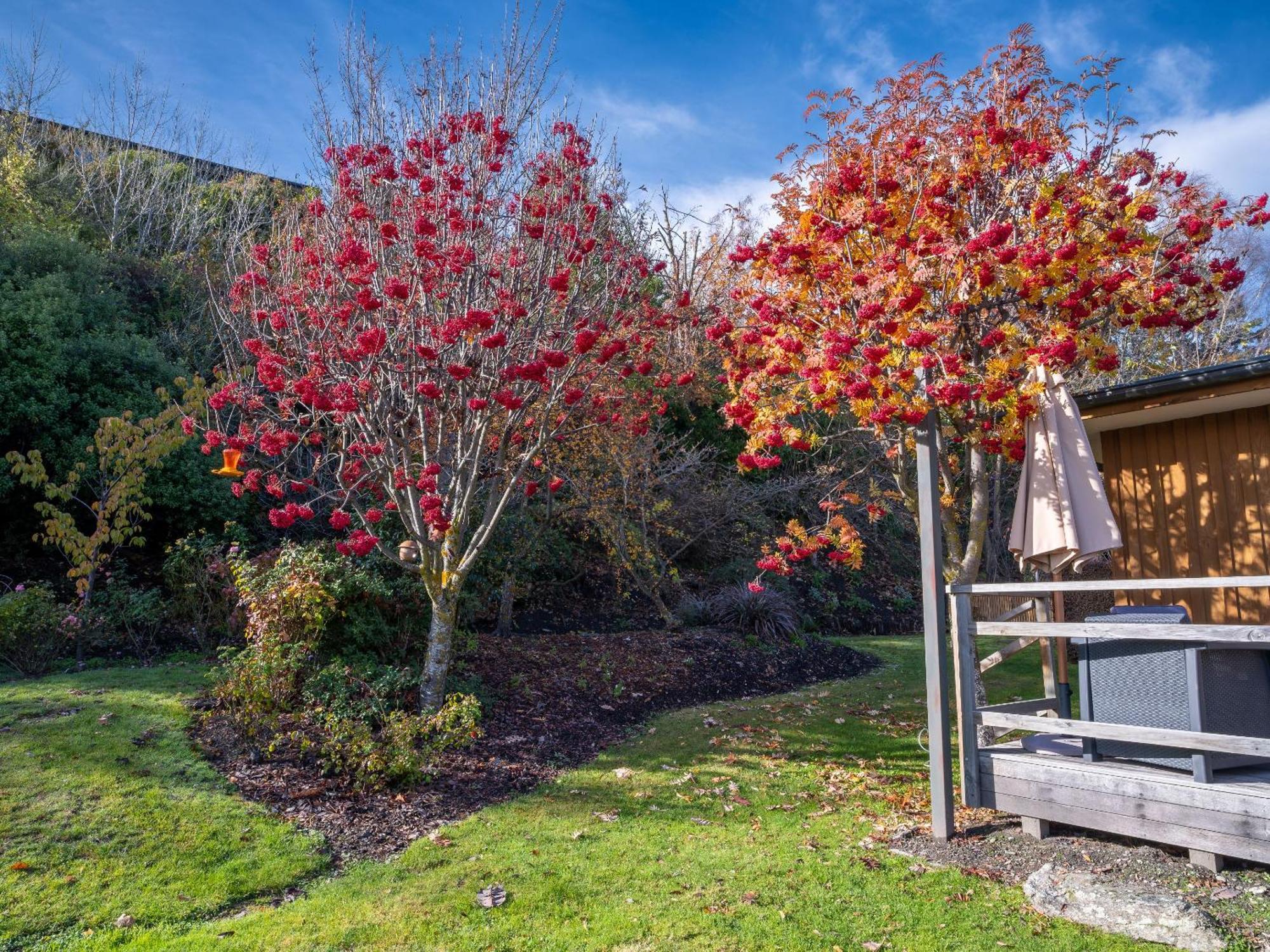 Wanaka Springs Lodge Exterior photo